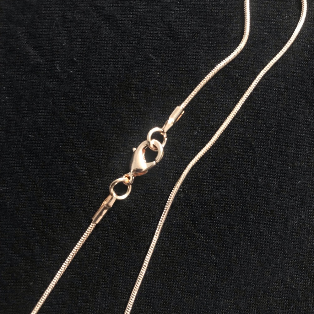 Shell Necklace - Picture 3 of 3